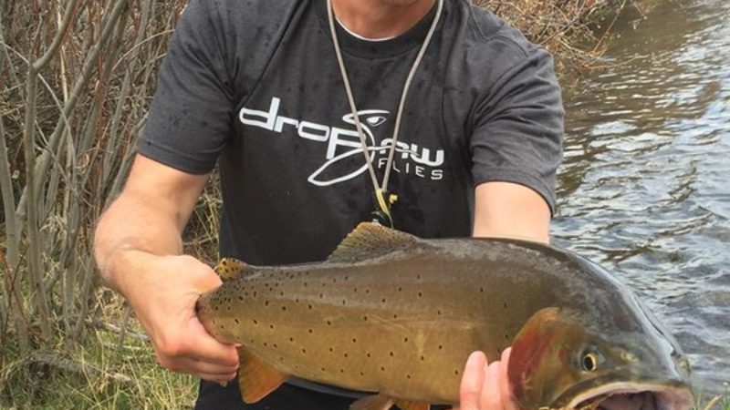 Catch of the Day