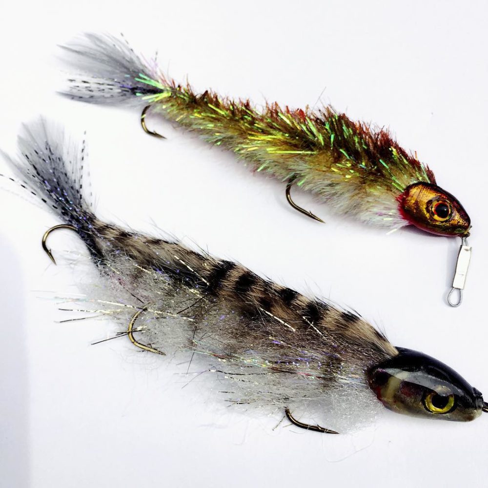 Zipstick and Juvenille Whitefish