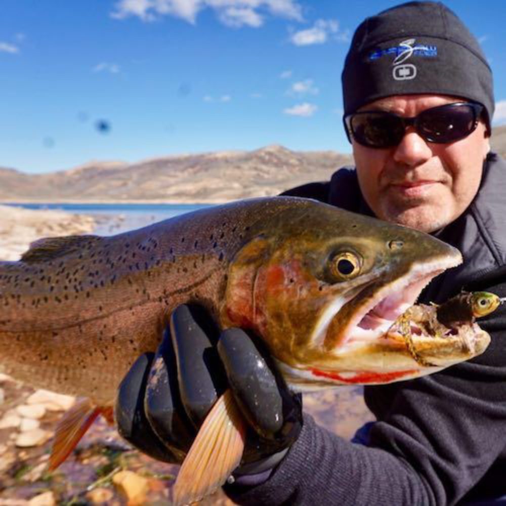 Baby Whitey Cutthroat Trout