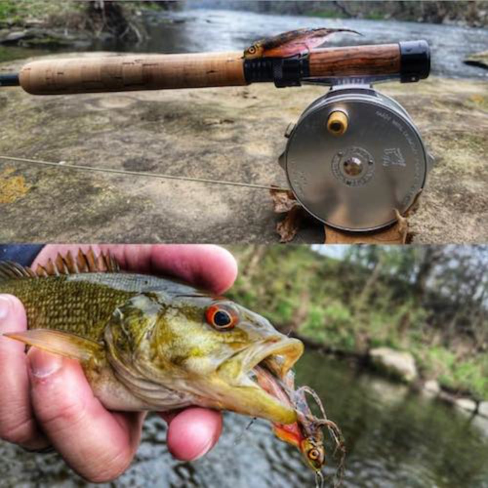 Pinhead Bass Catch