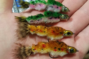 Fly Tying Friday 3.2.18