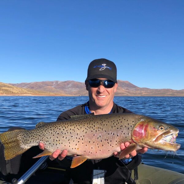 Juvenile Trout Streamer