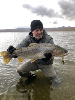 Black Nosed Dace - Image 2