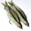 Black Nosed Dace