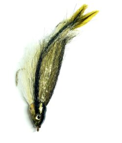 Black Nosed Dace - Image 3