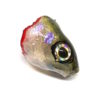 Baby Whitey Flex Head - Image 2