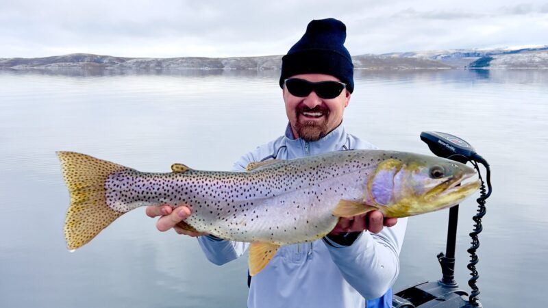 brad big fish