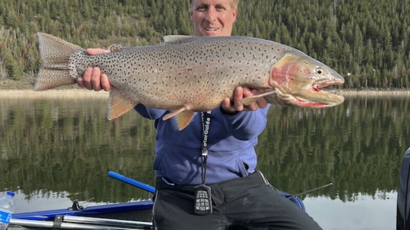 Big Streamer Eater