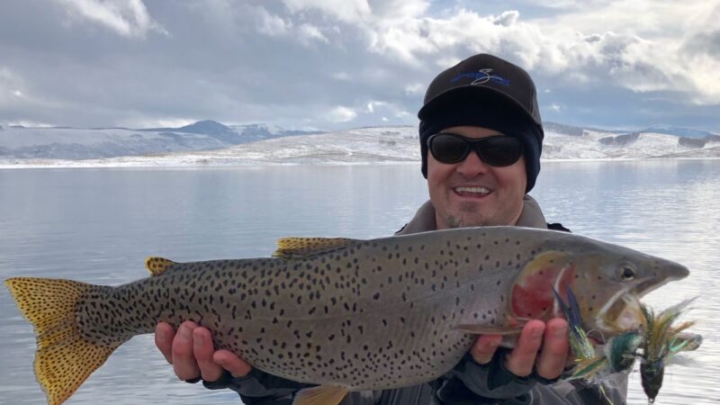 Brad Big Fish