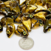 Medium Sculpin Head